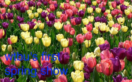 1526409_10152320208271823_770593572_n